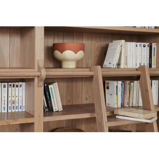 Grande bibliothèque avec échelle / Meuble bibliothèque en bois