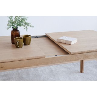 Allonges stockées sous le plateau