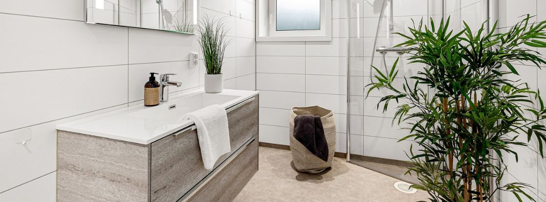 plantes dans une salle de bain