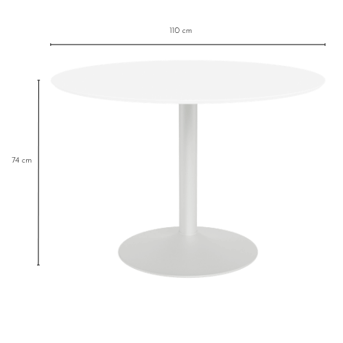Dimensions table ANITA